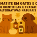 🐾 Dermatite em Gatos e Cães: Como Identificar e Tratar com Alternativas Naturais