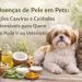 Doenças de Pele em Pets: Soluções Caseiras e Cuidados Sustentáveis para Quem Não Pode Ir ao Veterinário